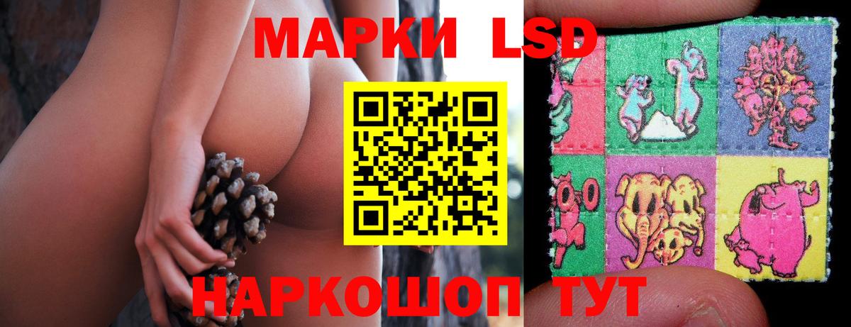 Карачаевск  Лсд 25 экстази ecstasy  Вход с VPN  LSD-25 экстази кислота 
