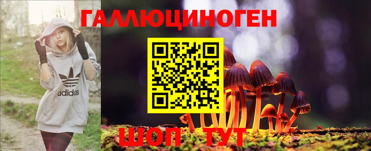 Карачаевск  Псилоцибиновые грибы GOLDEN TEACHER  Вход с VPN 